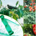 thumbnail image 4 of Garden Netting Pest Barrier,Cicada Netting Protect Fruit Trees Blueberry Bushes Vegetable Plant,Plastic Netting-2*10M, 4 of 5