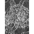 thumbnail image 1 of Ahgly Company Machine Washable Indoor Rectangle Transitional Gunmetal Gray Area Rugs, 6' x 9', 1 of 7