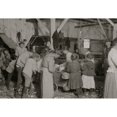 thumbnail image 2 of Jewish oyster shuckers in Barataria Canning Co. In this group are Gertrude Kohn five years old and Pauline --- eight, 2 of 4