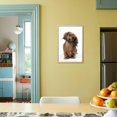 thumbnail image 4 of Miniature LongHaired Dachshund, Animals Framed Art Print Wall Art Sold by Art.Com, 4 of 5