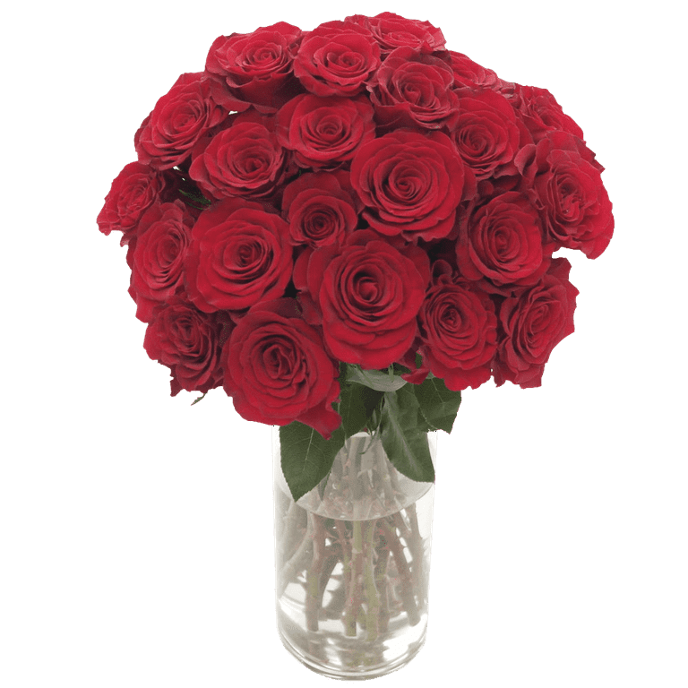 Freshcut Paper FRESH 3762 Paper Flower Bouquet of Red Roses Greeting C