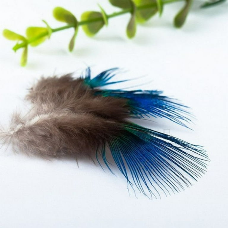 Remake of Peacock Feather, With Cloth & Feather Pieces! : 10 Steps -  Instructables