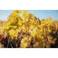 thumbnail image 2 of Bolokofsky, Ronald 24x17 Gold Ornate Wood Framed with Double Matting Museum Art Print Titled - On the Vine, 2 of 4