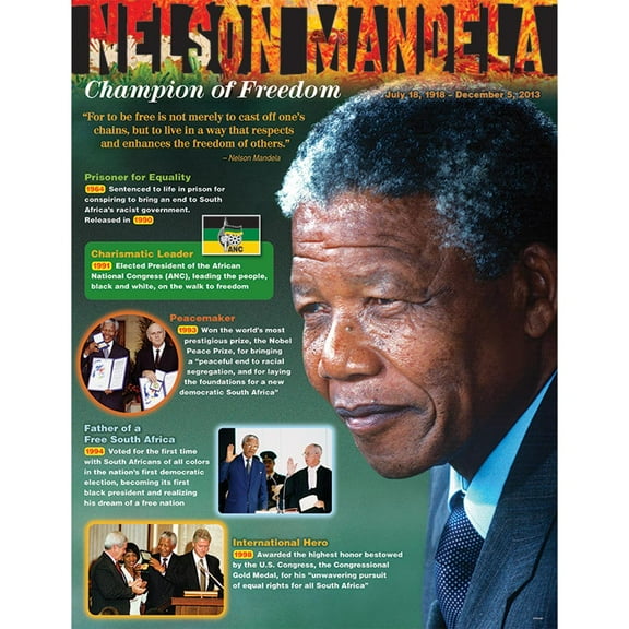 Nelson Mandela Learning Chart 17x22 [T38342]