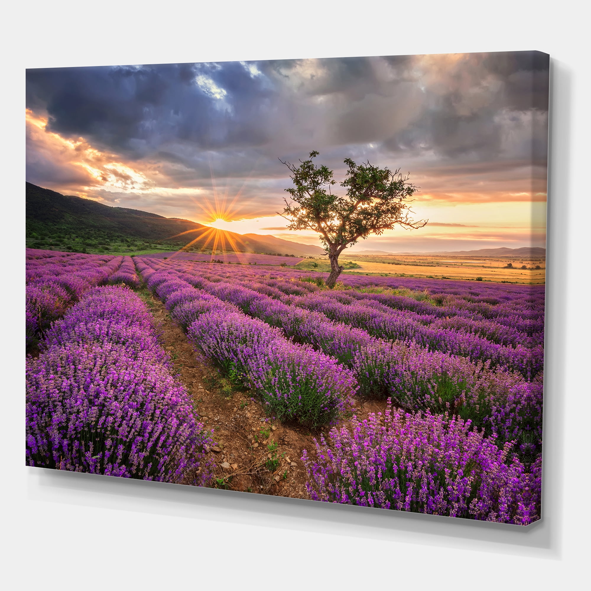 Dramatic Clouds and Sunrise Over Lavender Field VIII 8 in x 12 in Photography Canvas Art Print, by Designart