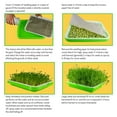 thumbnail image 6 of Giyblacko Seed Disseminators Seedling Tray Of Sprouted Vegetable Double Layer Seedling Tray Soilless Culture Hydroponics Vegetables Grow Tray, 6 of 7