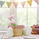 thumbnail image 5 of Plato de dulces de Pascua, canasta de conejito de Pascua, canasta de almacenamiento de dulces de Pascua, caja de regalo para decoración de mesa, regalo de Pascua, fácil de instalar y fácil de usar, 5 of 5