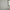 Grey, variant on Calico Gray Wallpaper