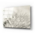 thumbnail image 2 of Epic Art 'Dandelion Jewels II' by Lori Deiter, Acrylic Glass Wall Art, 24"x16", 2 of 9