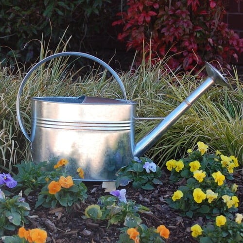 Griffith Creek Designs 1-Gallon Galvanized Watering Can with Long Spout by Griffith Creek Designs