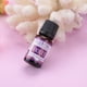 thumbnail image 5 of Essential Oil Water Soluble Essential Oil 10ML Natural Fragrant Aromatherapy Water Soluble Essential Oil Relieve Fatigue Improve Sleep 03, 5 of 8