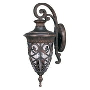 Nuvo Aston Three Light Large Arm Down Wall Lantern