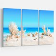 thumbnail image 2 of Design Art - Seashells on Tropical Beach, 2 of 2