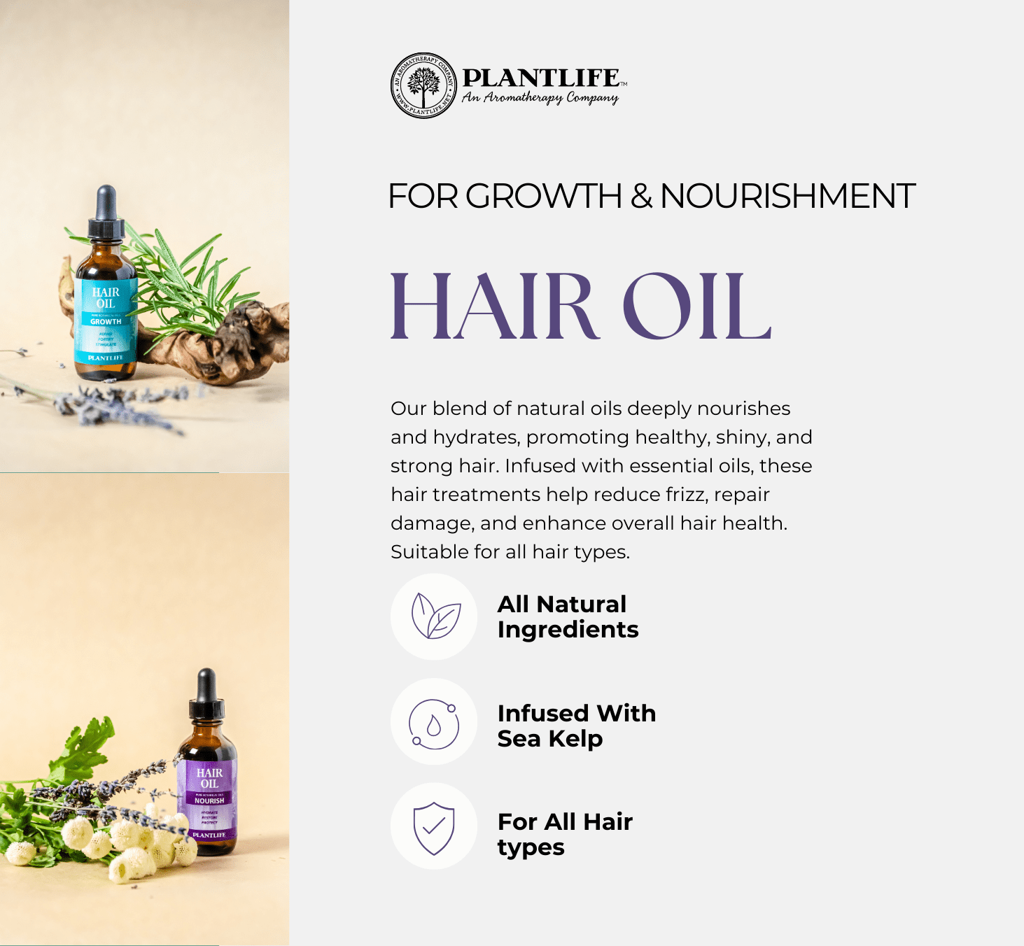Plantlife Growth Hair Oil - Scalp & Hair Strengthening Oil for All Hair Types - Crafted to Nourish Your Hair From Root to the Tip Ounce