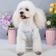 thumbnail image 3 of Pañal para cachorros, bragas sanitarias para perros con tirantes, ropa interior para perros hembra, pañal, 3 of 7