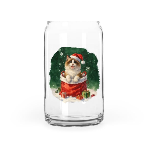 Santa Surprise Gift Ragdoll Merry Cheerful Christmas 16oz Glass Cup Mug Cat Lover Kitten Owner Gifts Idea Glass Can - 12021