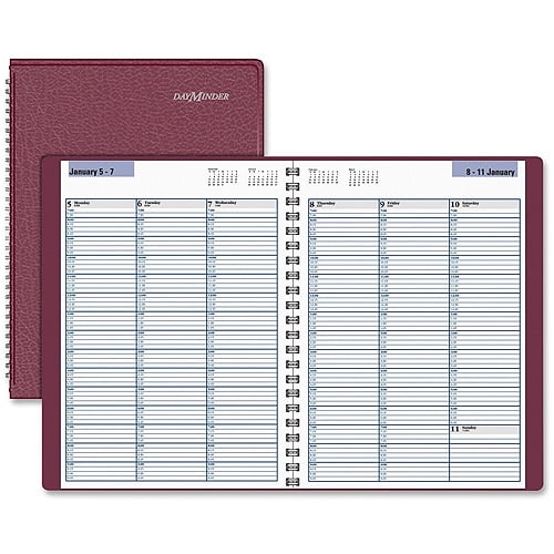AT-A-GLANCE DayMinder Professional Weekly Appointment Books - Walmart ...