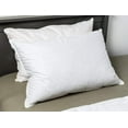 Feather Medium Density Classic Down Dreams King Size Pillow from Hilton