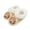 Capybara&Pumpkin, variant on Skeleton Spider Web Print House Slippers for Women Indoor Fleece Lined Halloween Women Fuzzy Slippers Winter House Shoes Non-slip Thick Sole