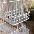 thumbnail image 6 of Stainless Steel Bird Stand Platform with Mesh Support Parrot Nesting Rack Perch for Cockatiels Parakeets Small Pet Bird Cage Accessories, 6 of 6