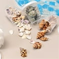 thumbnail image 5 of Natural Ocean Seashells Craft Set Unique Seashells Projects Crafting Shells, 5 of 20