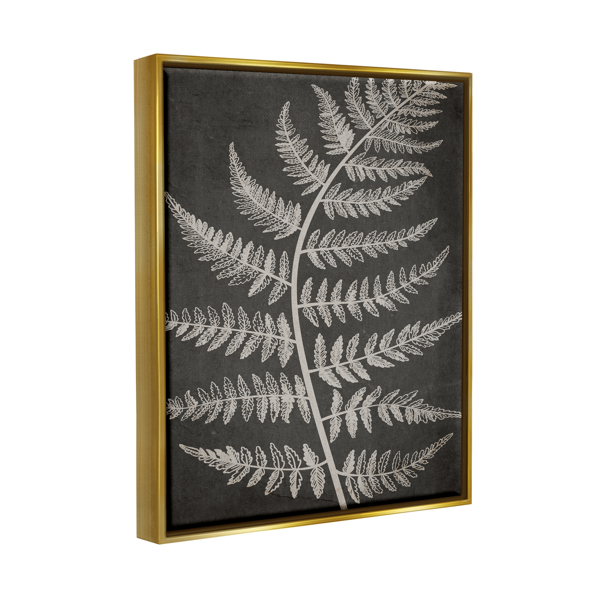 Stupell Industries Woodland Fern Outline Botanical & Floral Painting Gold Floater Framed Art Print Wall Art, 17 x 21