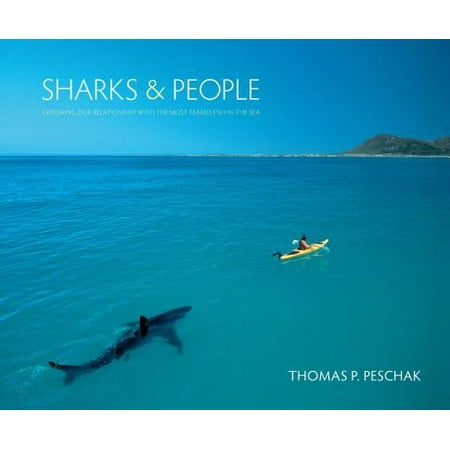 Sharks And People Exploring Our Relationship With The