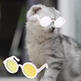thumbnail image 3 of Pet Glasses Long-lasting Convenient Wear Colorful Interesting Lightweight Pet Glasses Prop for Daily, 3 of 13