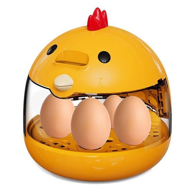 Incubadora automática de huevos con ventana de visión clara de 360° for incubar huevos de gallina, codorniz y pato