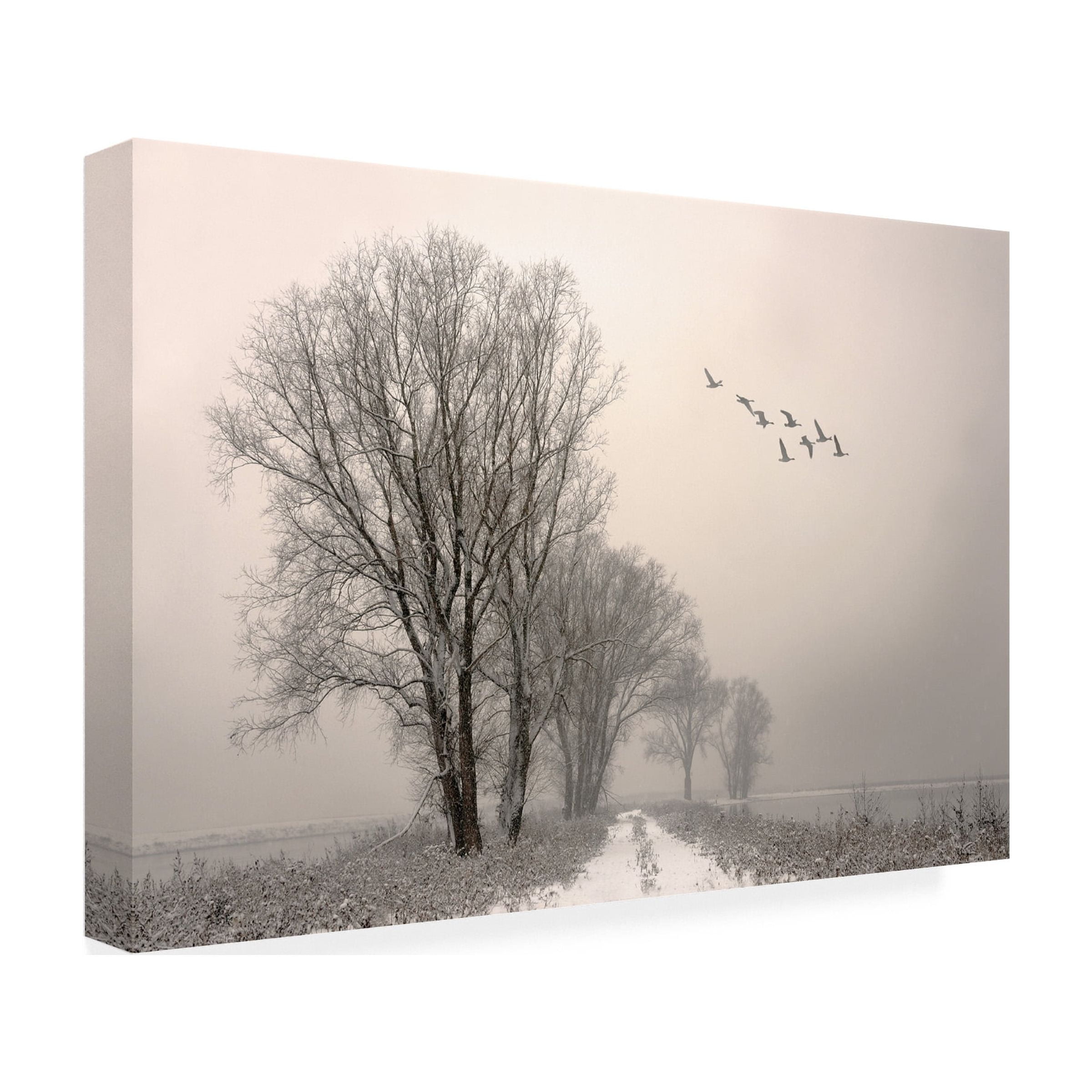 Lou Urlings 'Winter Light 1' Canvas Art