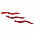 thumbnail image 1 of 100 piezas de lombriz de tierra falsa, gusano realista de plástico, juguete de truco de lombrices de goma suave y elástico para Halloween, fiesta del Día de los Inocentes, 1 of 5
