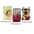 thumbnail image 3 of Gafas Para Perros Al Aire Libre, Gafas De Sol Cómodas Con Protección UV Para Perros Medianos, 3 of 7