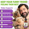 thumbnail image 6 of Petpya 15-In-1 Dog Multǐvitamin – Supports Immune System, Joint & Hip Health, Urinary-Tract Support Skin & Coat Care for Wellness And Vitality 60ml, 6 of 8