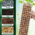 thumbnail image 3 of 4Pcs Moss Pole 23.6” Reusable Plastic Plant Pole Stick Transparent Plant Support Weather Resistant Moss Stick, 3 of 10