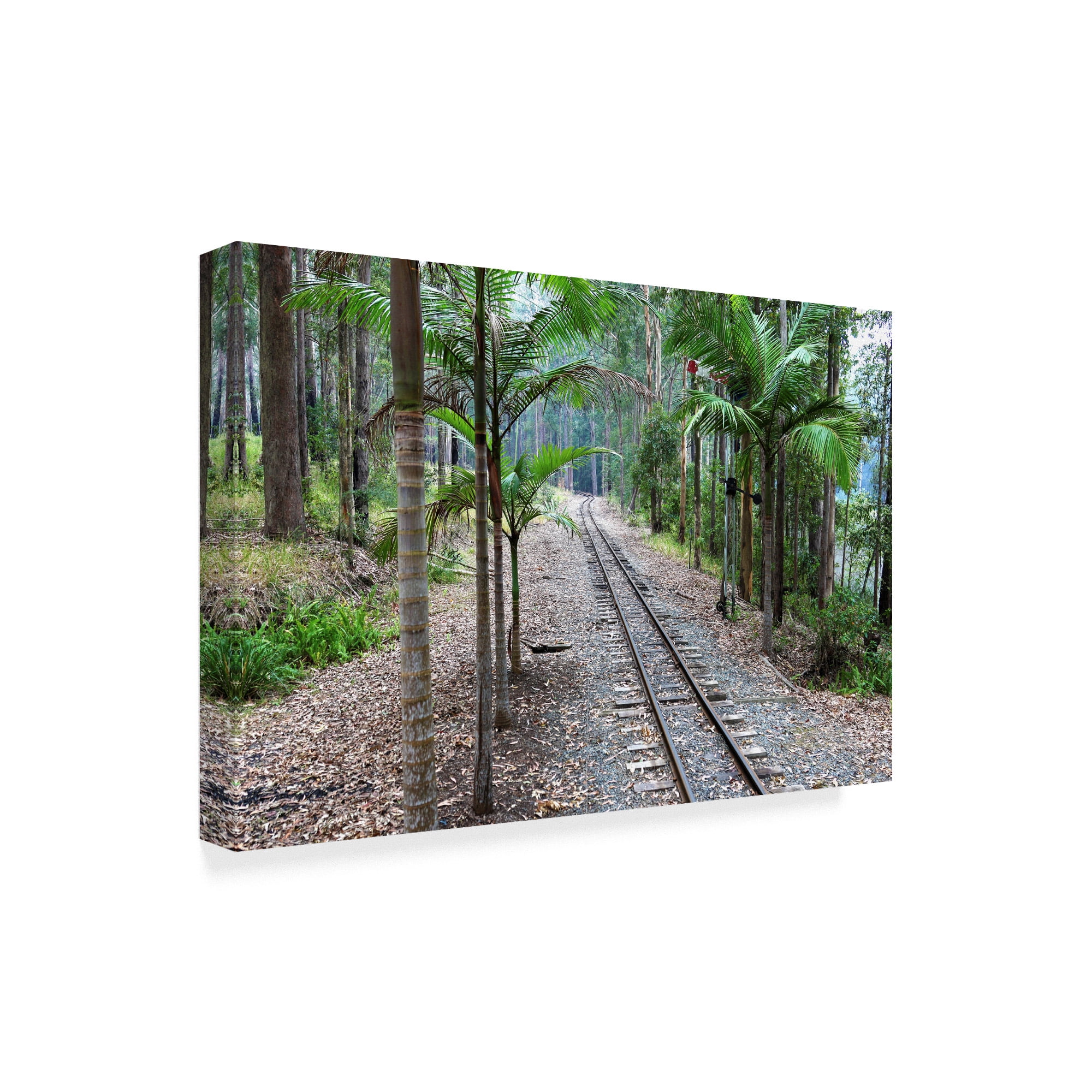 Trademark Fine Art 'Tracks Train' Canvas Art by Incredi