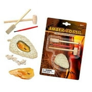 Tedco Toys 90003 Mber Fossil Dig Excavation Kit