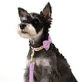 thumbnail image 5 of Didog Personalised Dog Collar with Cute Bowtie Puppy Free Engraving Pet Buckle Collars, 5 of 5