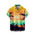 thumbnail image 1 of Camisas casuales de manga corta estilo hawaiano de moda de verano para hombres Pompotops  oipoqjl43955, 1 of 6