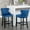 Blue, variant on Foam - Filled Velvet Barstools | Casual Gathering Spots | Cozy and Inviting Ambiance