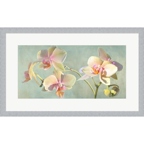 Great Art Now Jewel Orchids by Luca Villa, Framed Wall Art, 26.25W x 16.25H