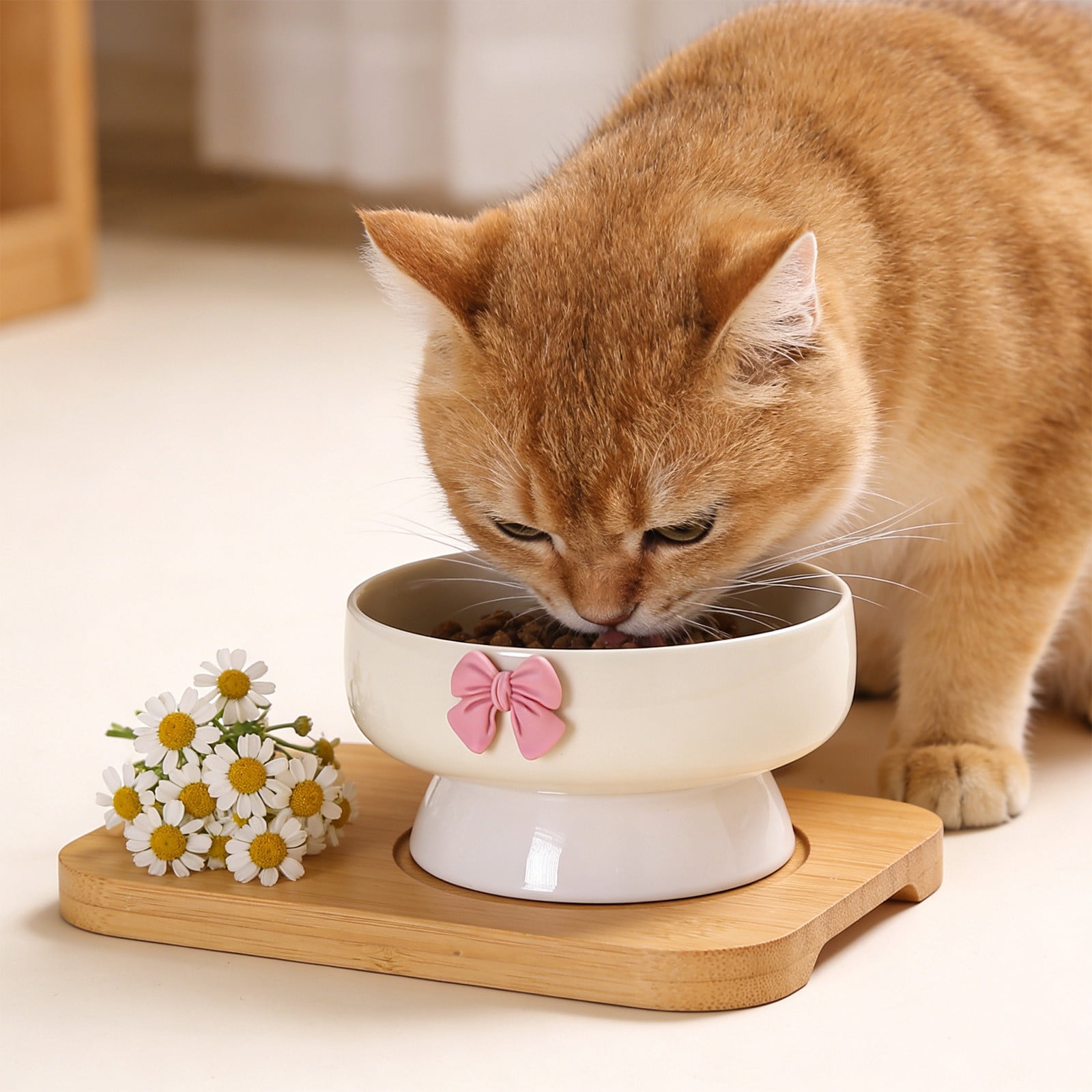 PONPRNGY Ceramic Bowls, Elevated cat Bowl, Anti-Vomiting, Whisker Friendly Raised Bowl, Easy to Clean, Non-Slip, Suitable for Small s