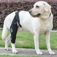 thumbnail image 2 of Rygai Dog Knee Brace Dog Knee Rear Leg Brace with Fastening Strap Wear Resistant Ultralight Adjustable Dog Hind Leg Brace Pet Supplies., 2 of 19