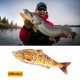 thumbnail image 2 of Pesca Señuelos de pesca biónicos falsos de 12 cm, 16,8 g, Crankbait, 4 segmentos, cebo duro (4) Tmvgtek Para Estrenar, 2 of 7