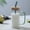 Green, variant on Clear Glass Cup with Handle and Lid, 14 oz Wide Mouth Beverage Tumbler for Milk Juice Water Iced Coffee, Square Drinking Glass for Home Kitchen