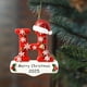 thumbnail image 5 of Adornos de letras para árbol de Navidad | Colgantes con el alfabeto | Set de 26 piezas para decoración navideña DIY | Adornos colgantes de acrílico para el hogar, la oficina y la escuela, 5 of 9