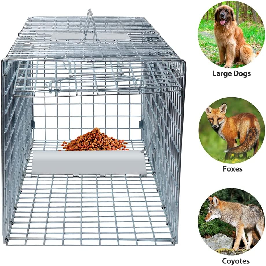 Wild Dog Control Dog Trap Fox Trap Large Cage Trap - China Dog Catch Items  and Dog Catching Equipment price
