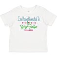 thumbnail image 3 of Inktastic I'm Being Promoted to Big Sister Girls Baby T-Shirt, 3 of 5