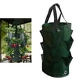 thumbnail image 4 of Plante Suspendue de 3 Gallons, Fraisier, Aération pour Vert, 4 of 8