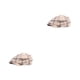 thumbnail image 4 of Boina de fieltro Sonducket a cuadros invierno Unisex, 4 of 6