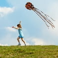 thumbnail image 4 of Flmtop 157inch Software Octopus Kite with Long Tail Outdoor Activity Adults Kids Toy, 4 of 10
